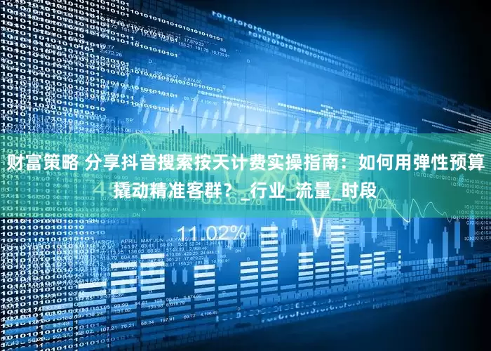 财富策略 分享抖音搜索按天计费实操指南：如何用弹性预算撬动精准客群？_行业_流量_时段